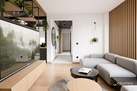 Nowoczesny salon z korytarzem